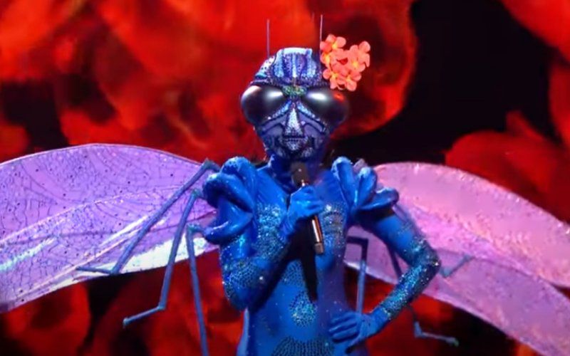 Libelle in VTM-programma The Masked Singer is al ontmaskerd: "Zij is het"