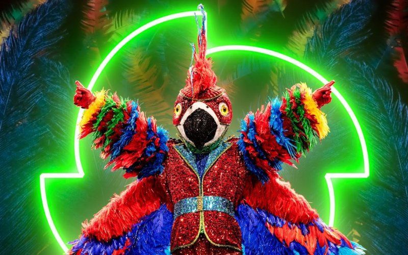 Eerste onthulling: "Hij is de papegaai in 'The Masked Singer'"