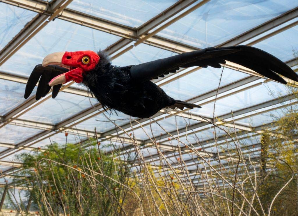 Burgers’ Zoo presenteert kleurrijke, educatieve musical over de dieren in de Desert