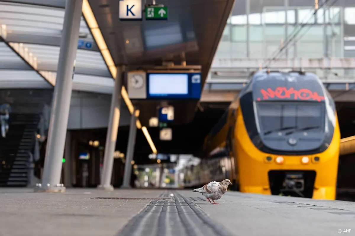 Meer ernstige verstoringen op het spoor, meldt ProRail