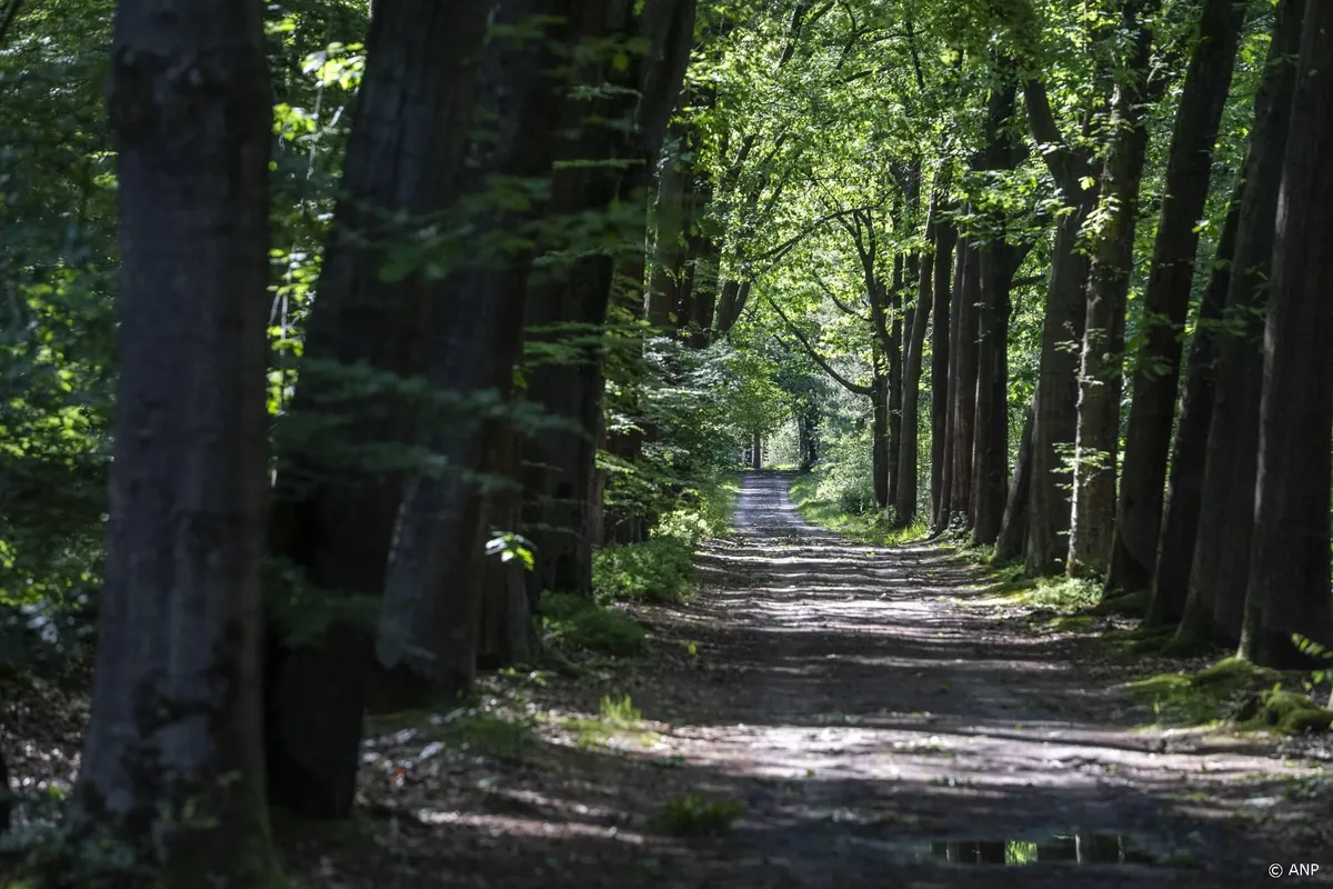 Provincie Utrecht mag bijtende wolf afschieten van rechter