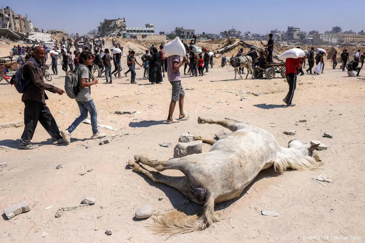 Trump ziet echte hongersnood in de Gazastrook