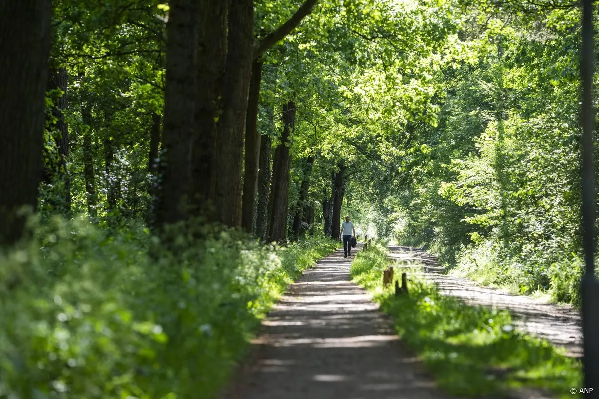 Partij voor de Dieren probeert afschot wolf Utrecht te voorkomen