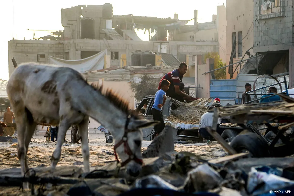 PAX: dodental van 60.000 in Gaza 'schrijnend en onuitlegbaar'