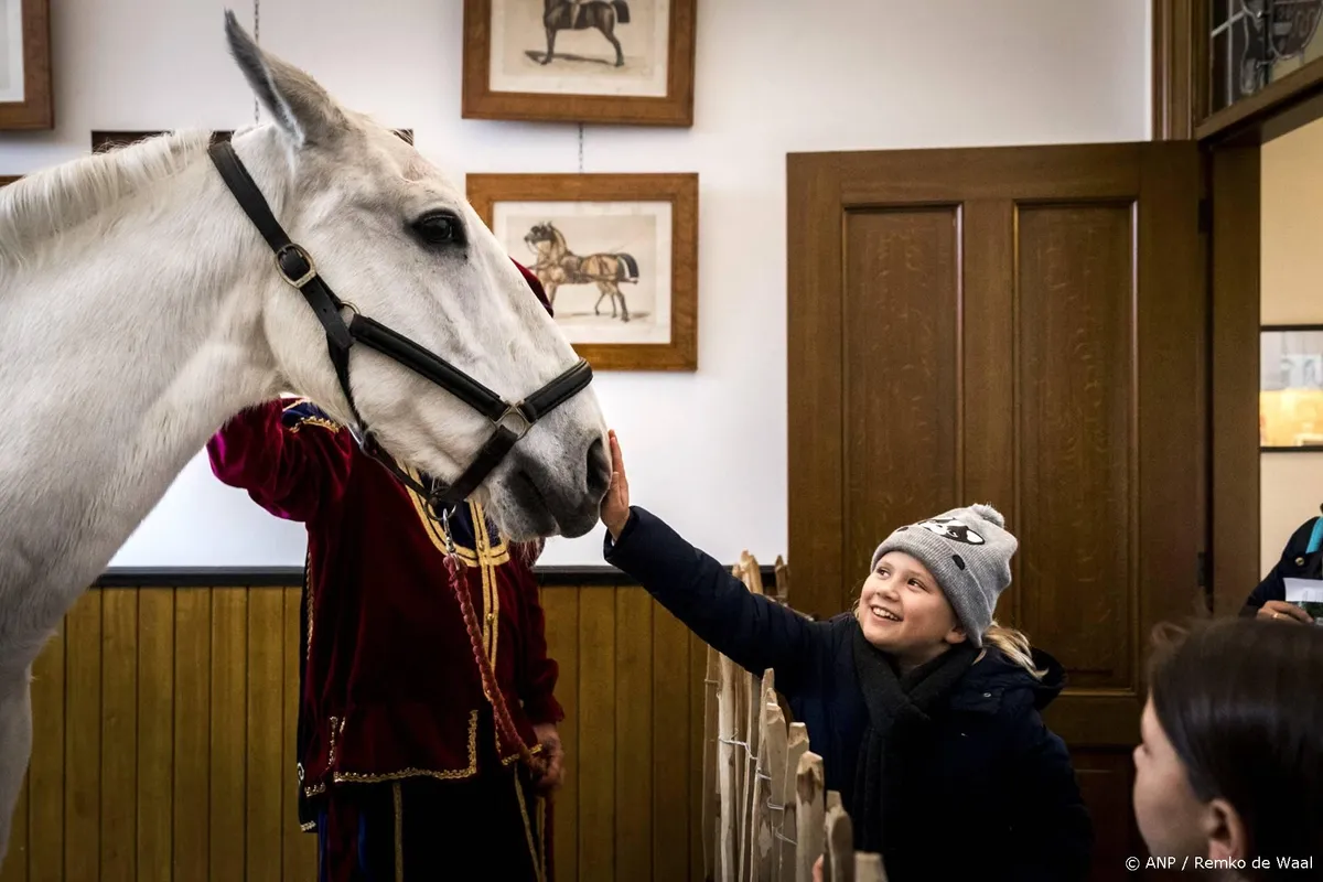 Amerigo 2.0, paard van Sinterklaas, overleden