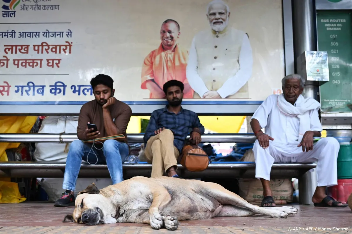 Hoogste hof India beveelt verwijdering straathonden uit hoofdstad