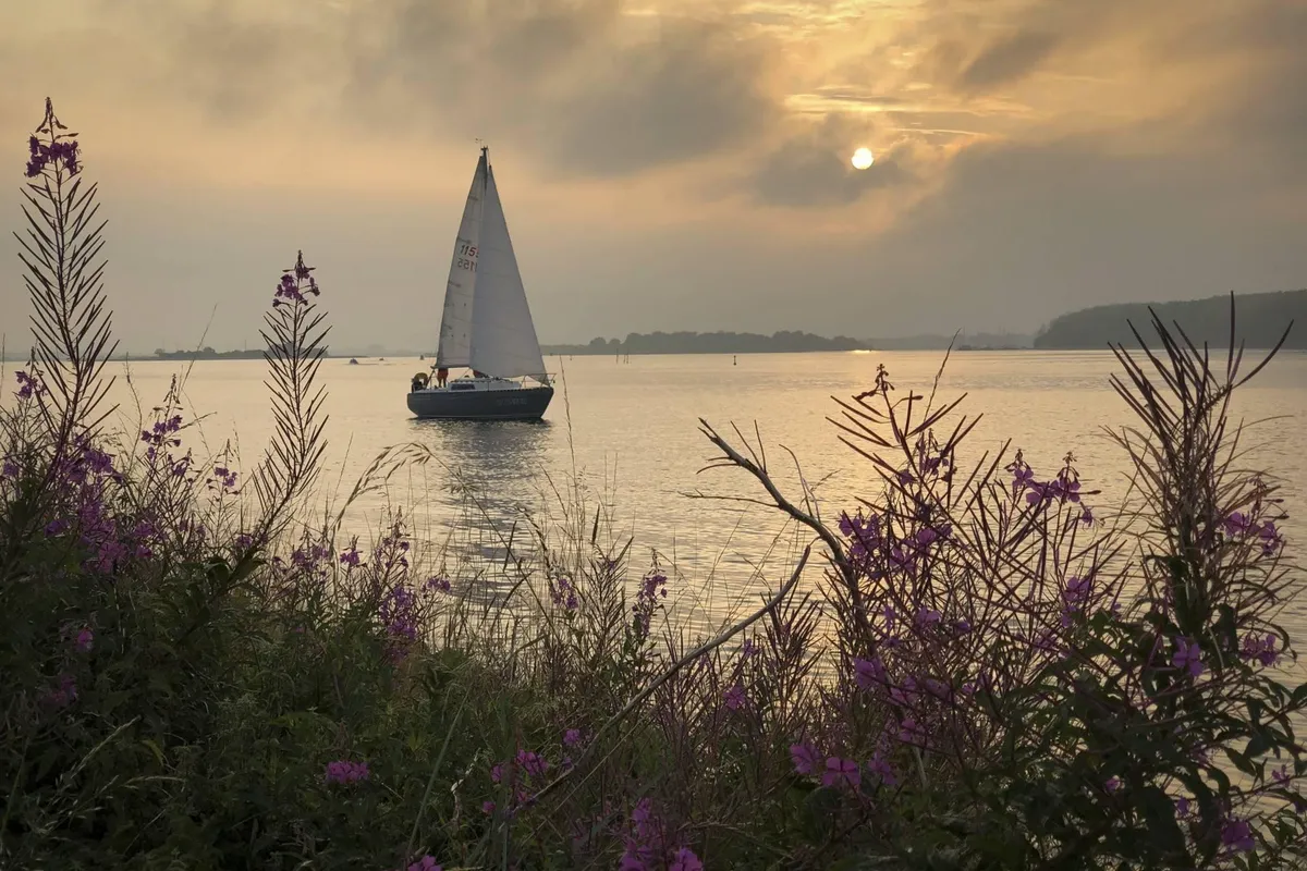 Zeeland trekt waarschuwing in voor kruiskwal bij Grevelingendam