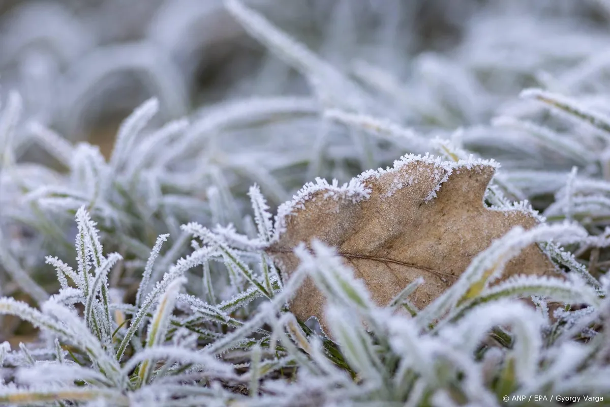 Eerste grondvorst gemeten, uitzonderlijk vroeg