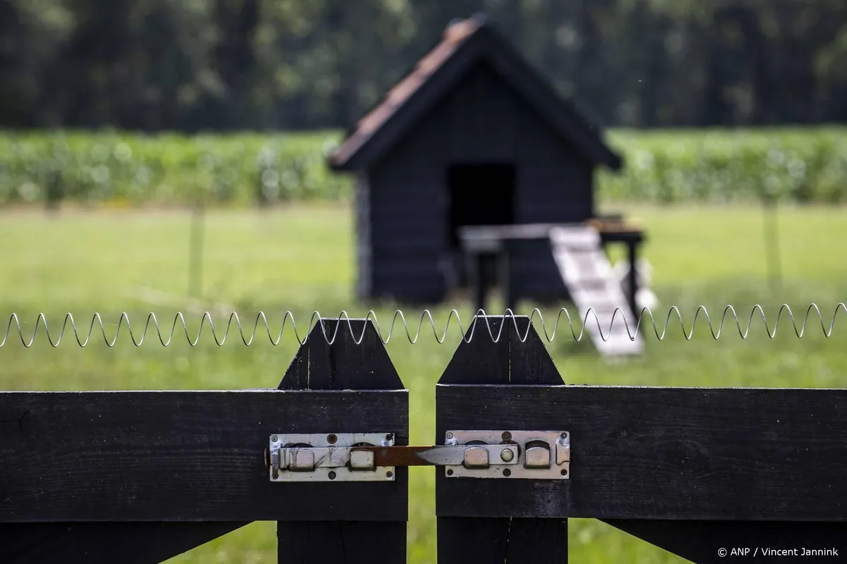 Gelderland wil wolf die schapen in Barneveld doodde afschieten