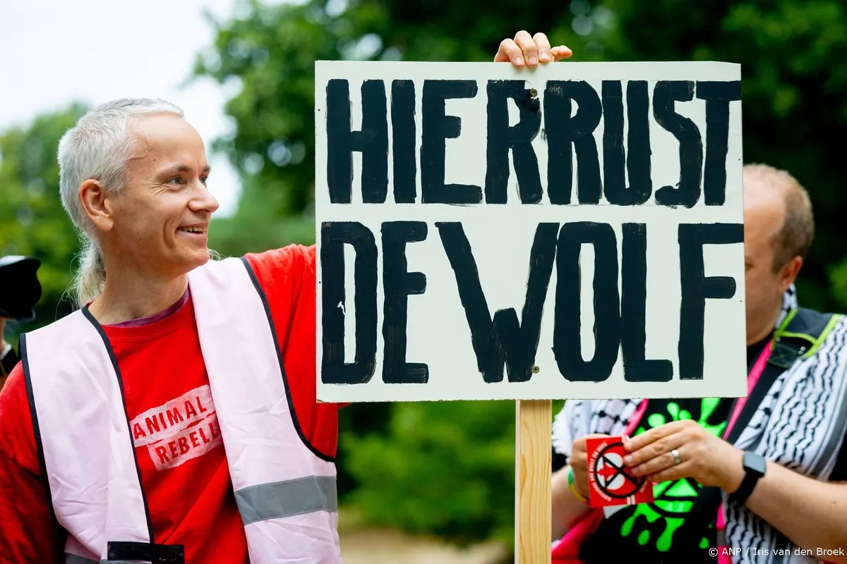 Animal Rights gaat opnieuw bezwaar maken tegen afschieten wolf