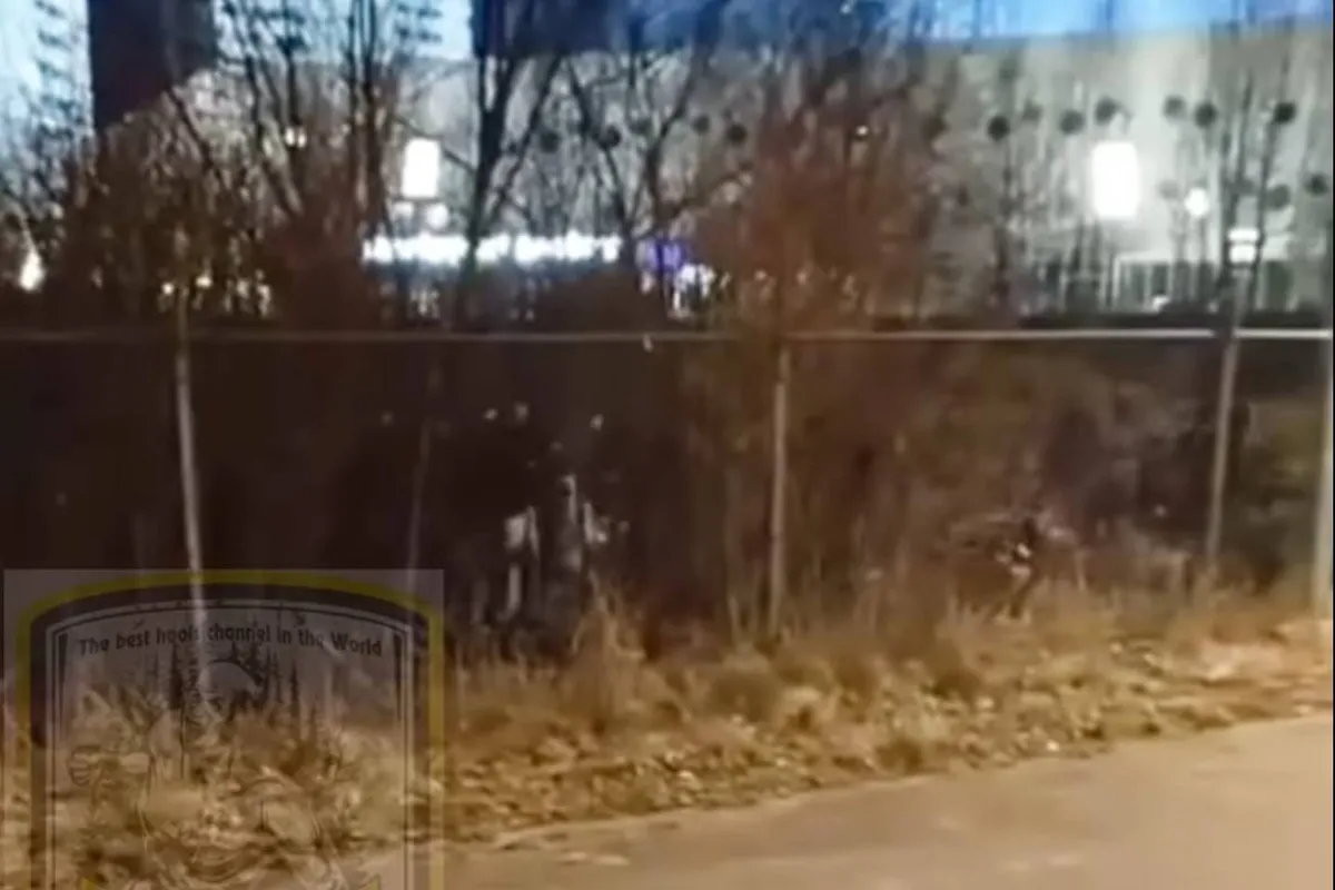 knokpartij fc twente groningen 2025