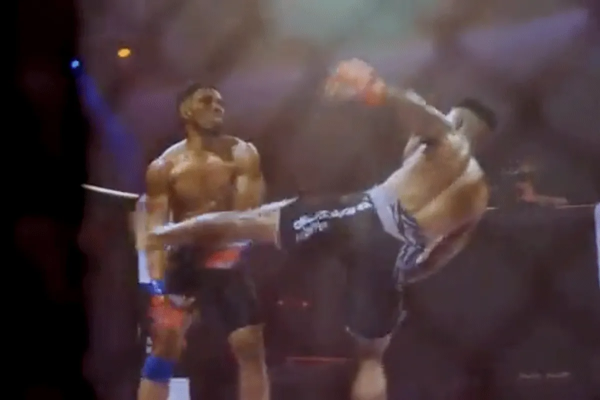 De knock-out show: 'Big Brother van het kooivechten' (video)