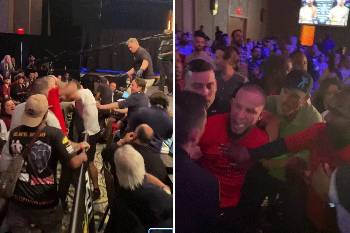 Chaos! UFC'er MEPT er op los tussen het publiek (video)