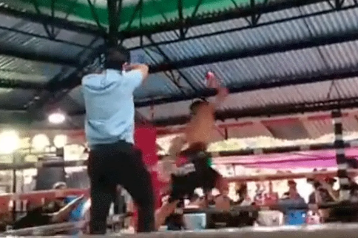 'Alles slopen': Verlies wordt Bokser teveel (video)