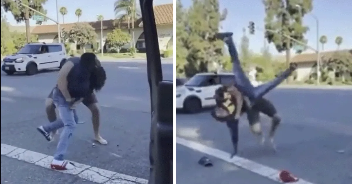 Boze kerel bonkt lastige gast neer! 'Shit weer file' (video)