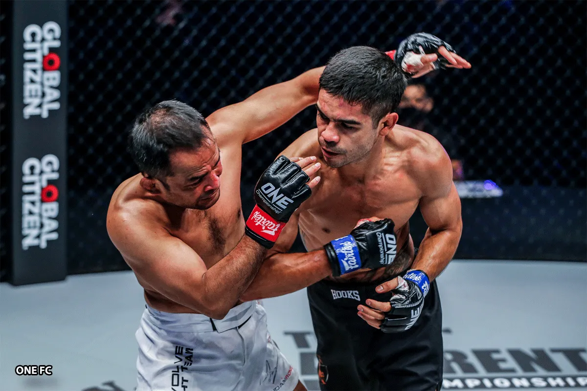 Video bewijst dodelijke precisie leverstoot: 'Ondraaglijke pijn'