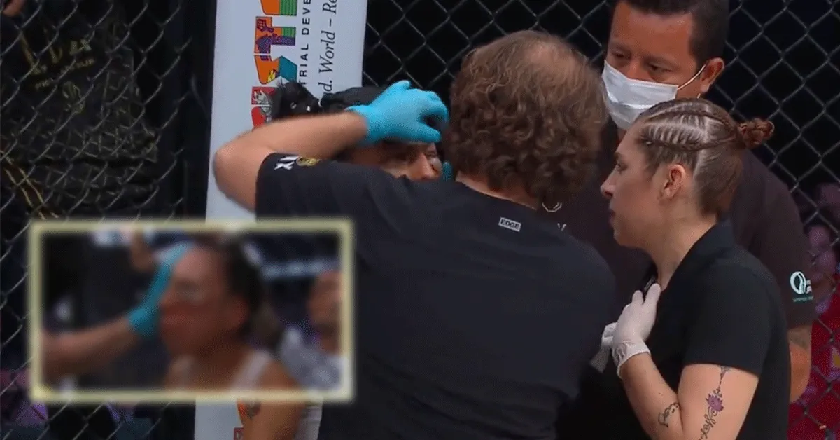 Heftig kooigevecht stopgezet: Te gevaarlijk om door te gaan (video)