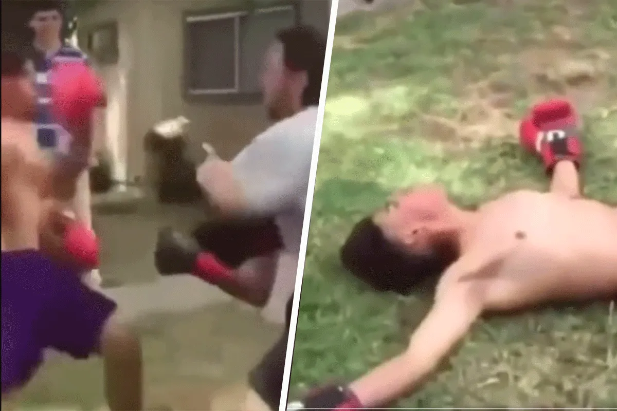 Woesteling MEPT 2 boksers 'knock-out' (video)