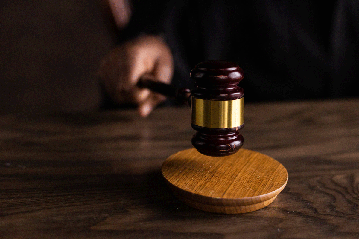 Lage celstraf voor doodslaan kooivechter: 'Dader te licht gestraft'