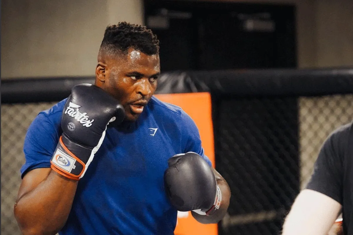 'Als McGregor mocht boksen, waarom Ngannou dan niet?': UFC meet met 2 maten?