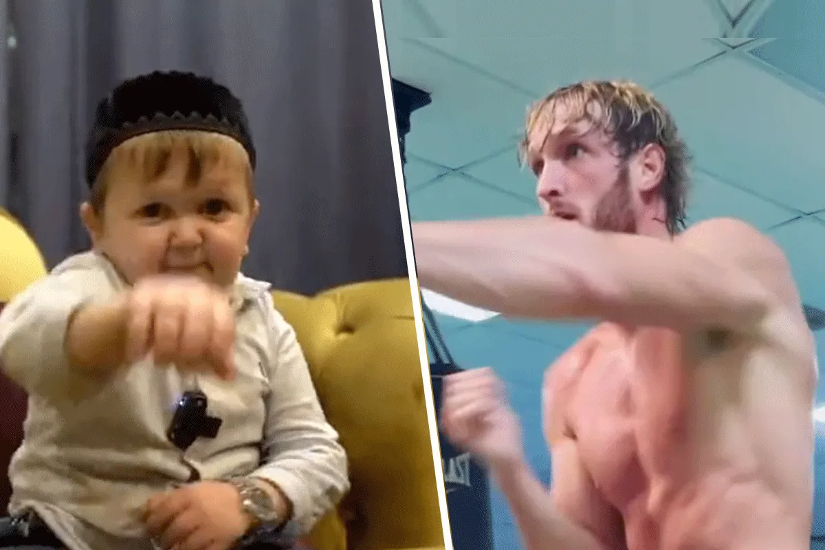 Sensatie! Hasbulla wil Logan Paul slopen in de boksring