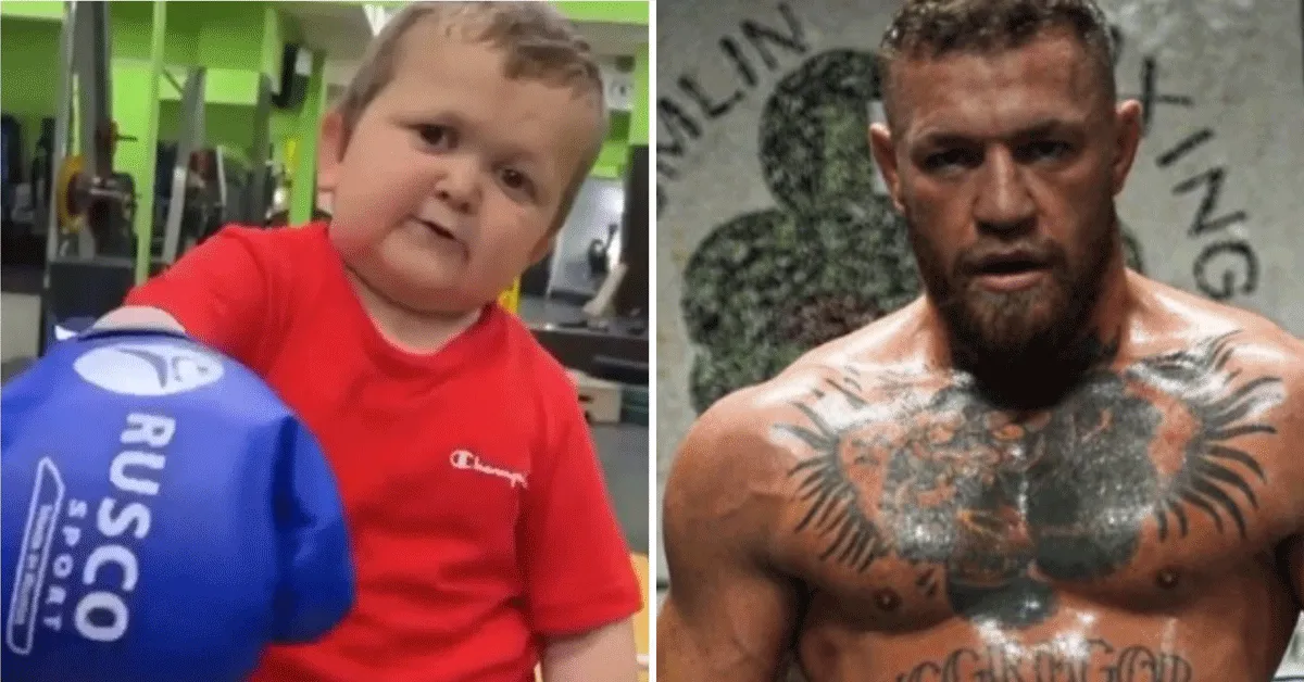 Hasbulla slaat terug naar UFC-ster McGregor! 'Lafaard' (video)