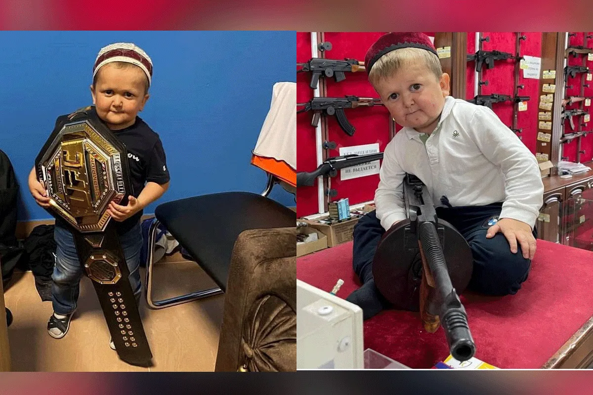 DWERG: Hasbulla oorzaak ruzie UFC'ers Cejudo en Sterling