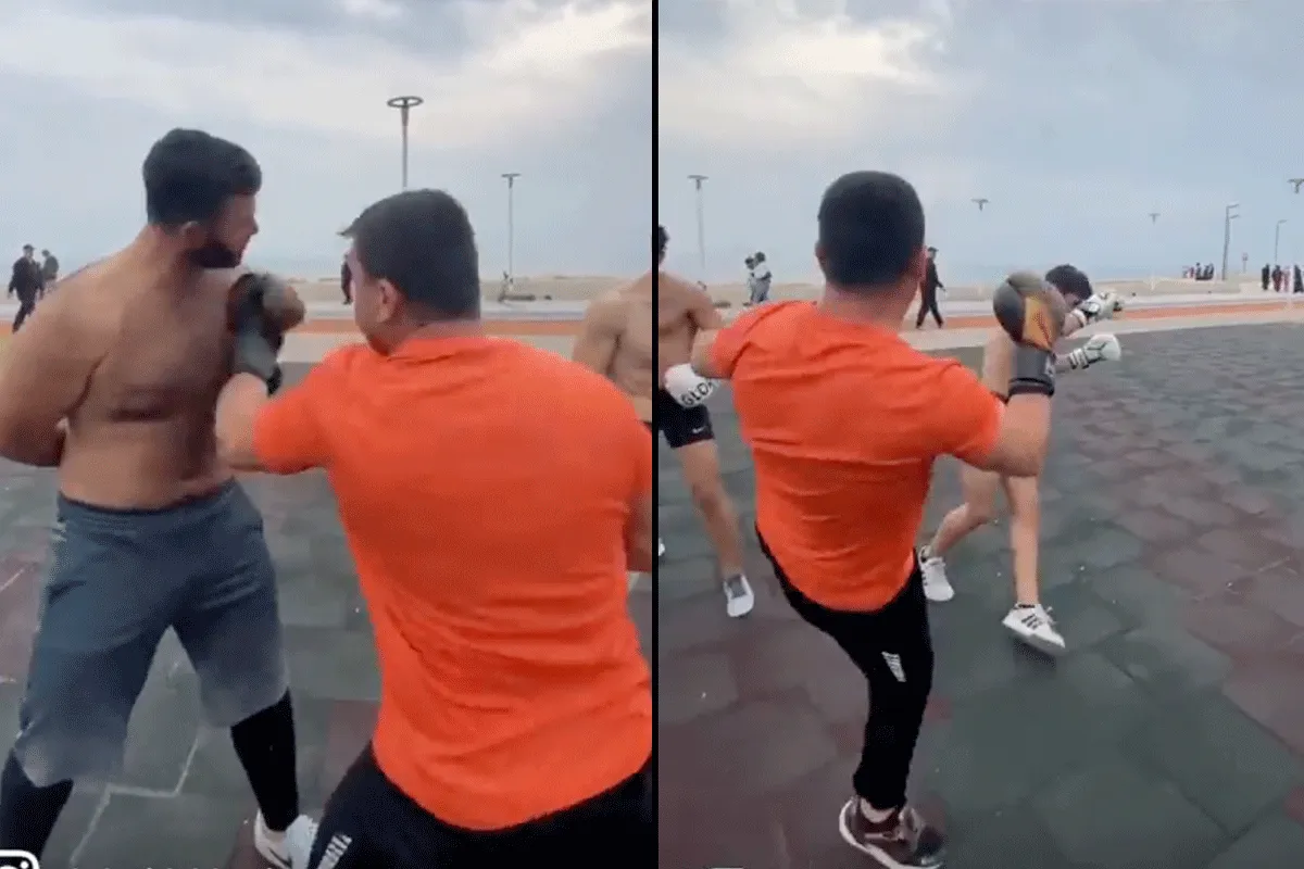 Mafkees! Hersenschade door 'idiote' training (video)