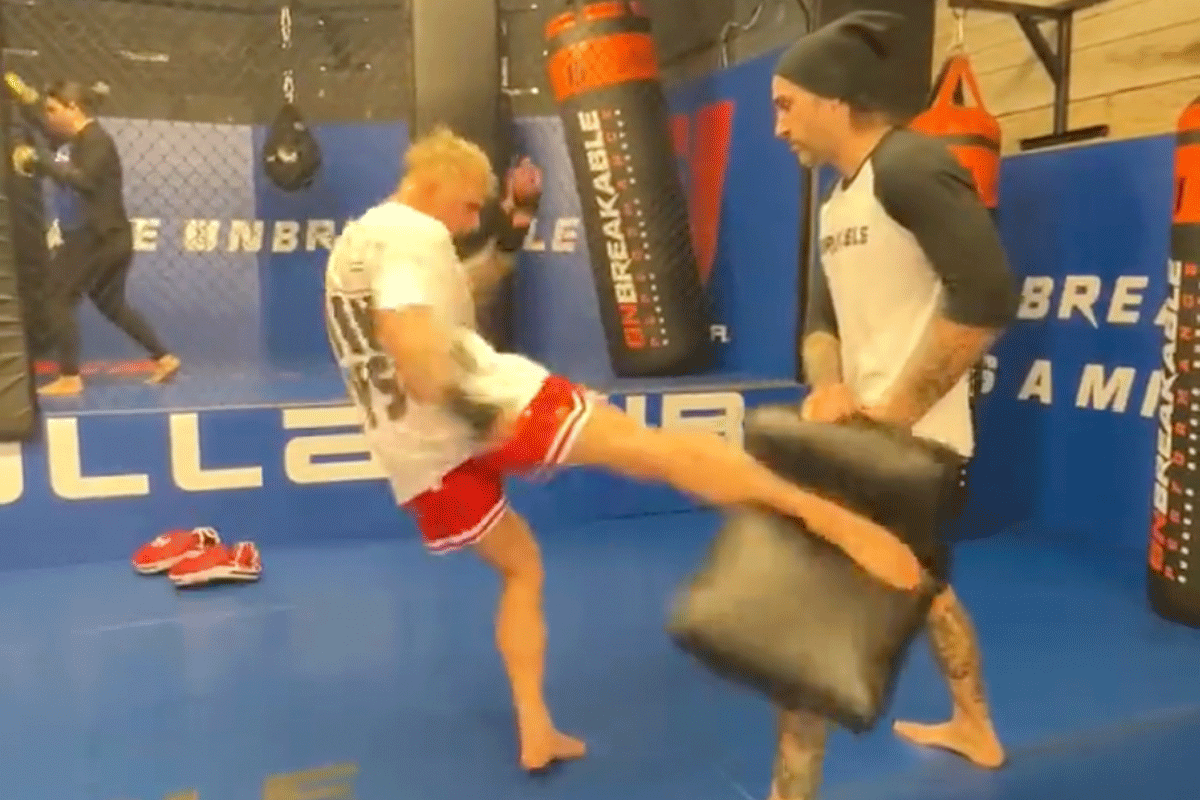 Jake Paul start MMA-training! Prof-vechters reageren (video)