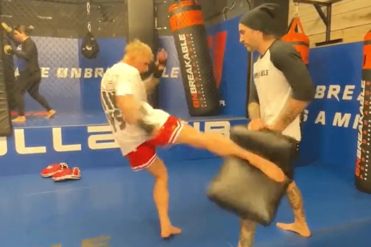 Jake Paul start MMA-training! Prof-vechters reageren (video)