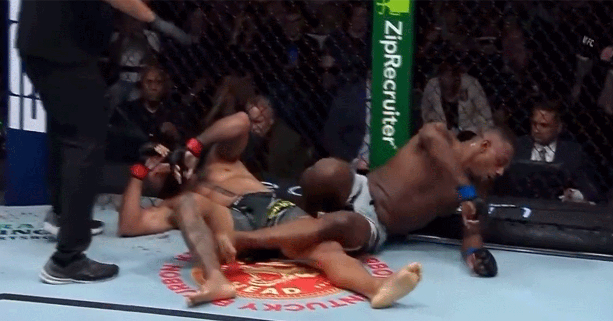 Spectaculair einde Hill en Santos UFC-gevecht! (Video)