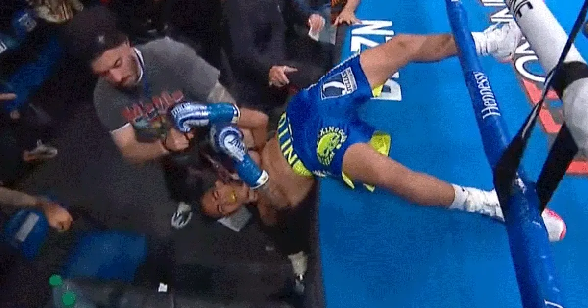 ZIEN! Bokser ring uitgeslagen, land op schoot fotograaf