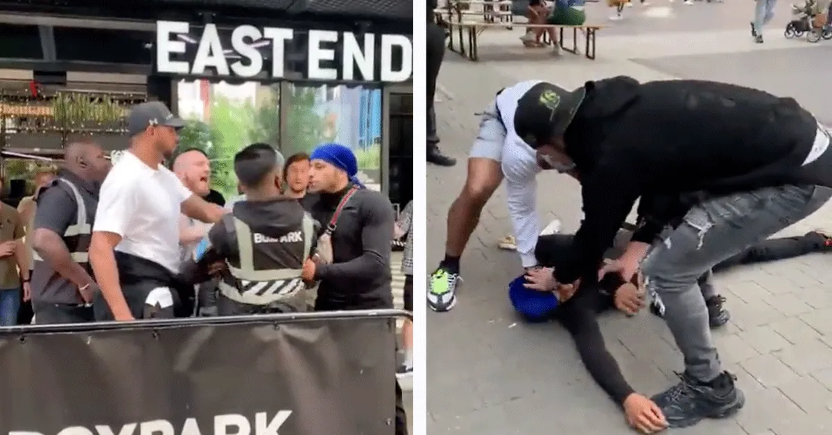 Bokskampioen slaat agressieve kerel knock-out op straat (video)