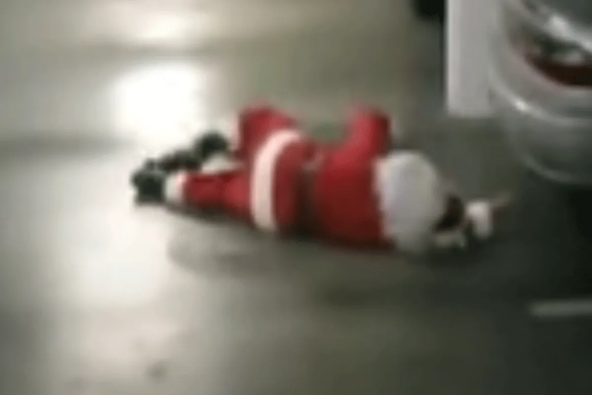 Peuter MEPT kerstman 'KO!' Bokstalentje (video)