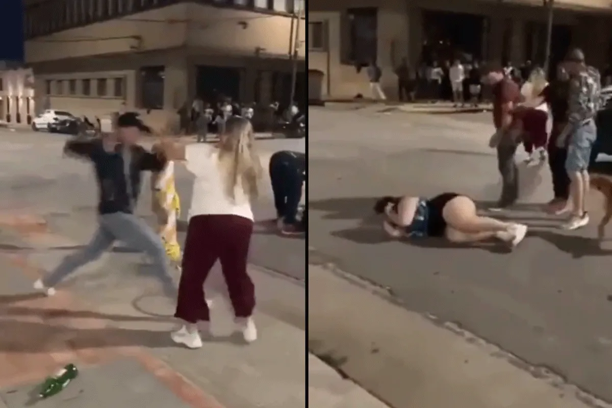 Klappen na trap tegen auto! 'Lucy zit op boksen' (video)