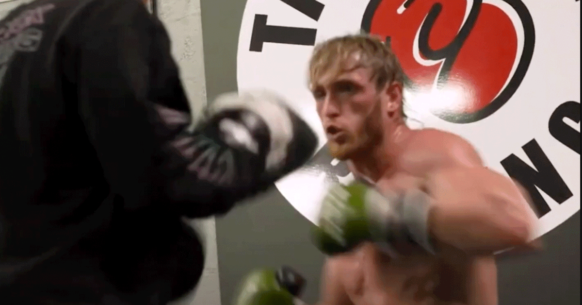 YouTube-bokser Logan Paul smeekt om rematch met bokslegende