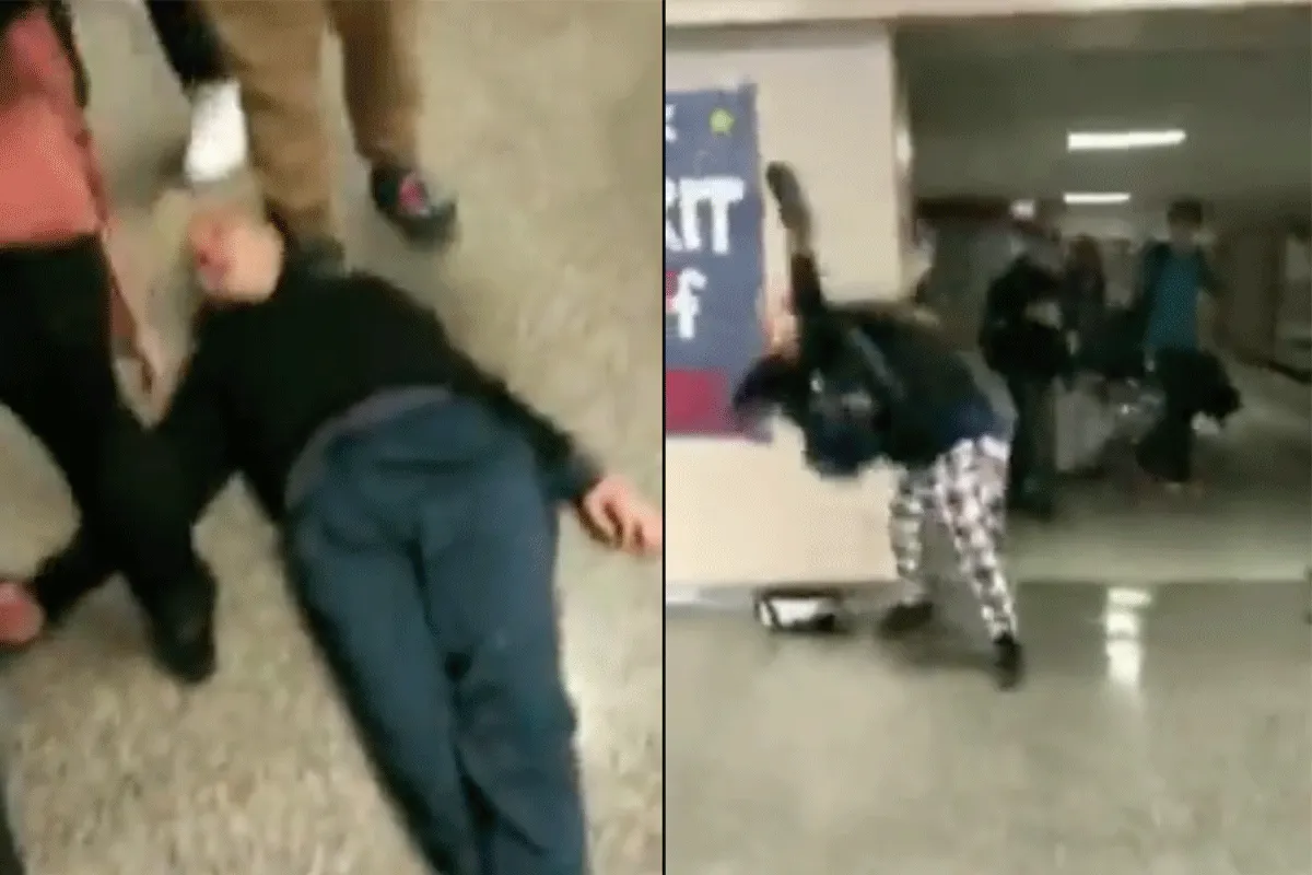 MMA-meisje smijt pestkop KO! 'Wat nou dikzak' (video)