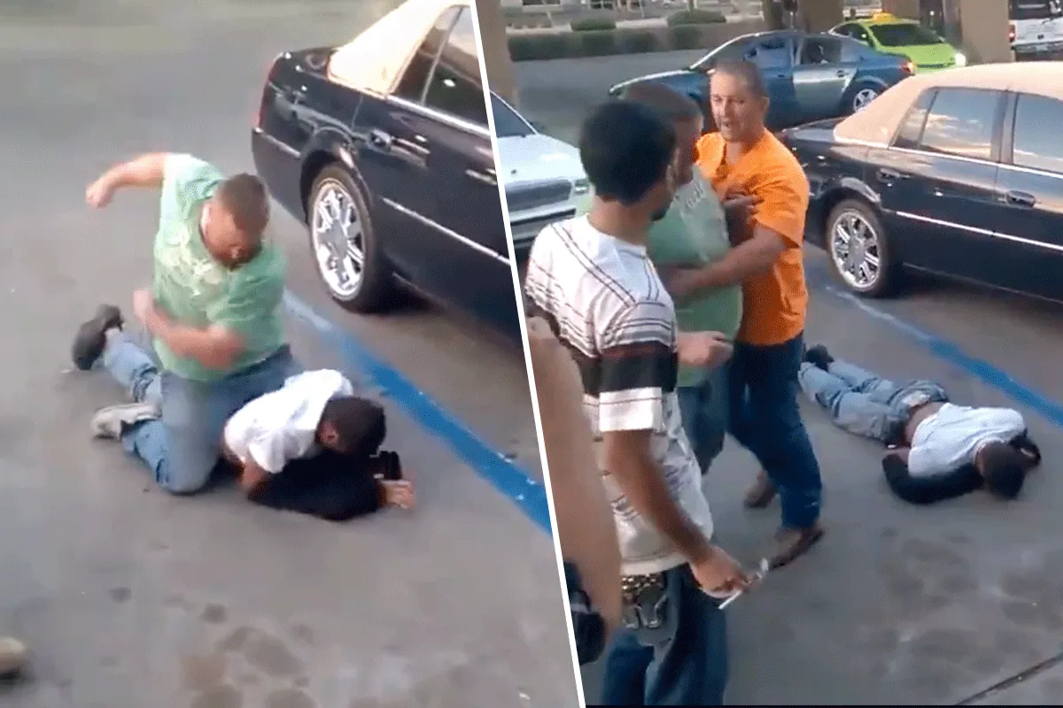 MMA-trucker KO't wannabee gangster (video)