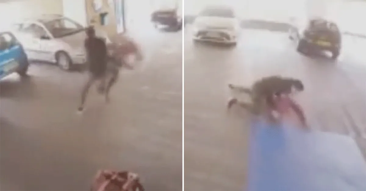 Autodief krijgt klappen van MMA-vechter! 'Handjes af maat' (video)