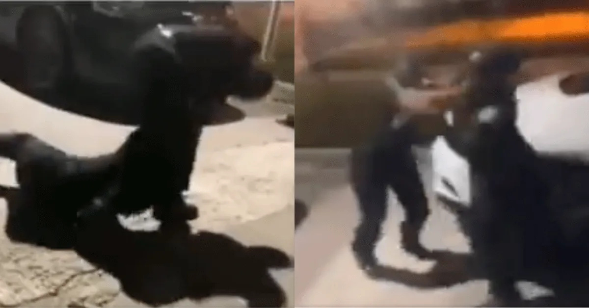 Politieagenten vechten tegen elkaar op straat! 'Slecht voorbeeld' (video)