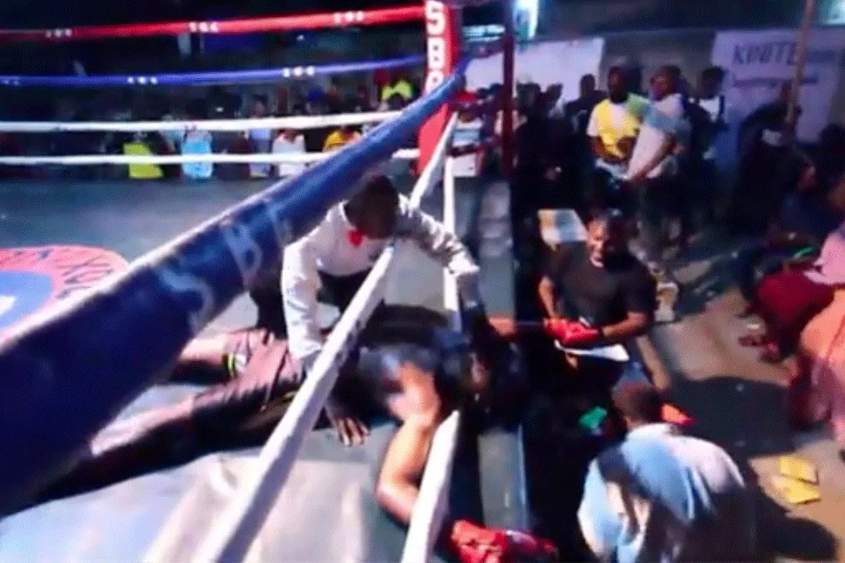 'KO!' Boksdebutant rost rivaal door de touwen (video)