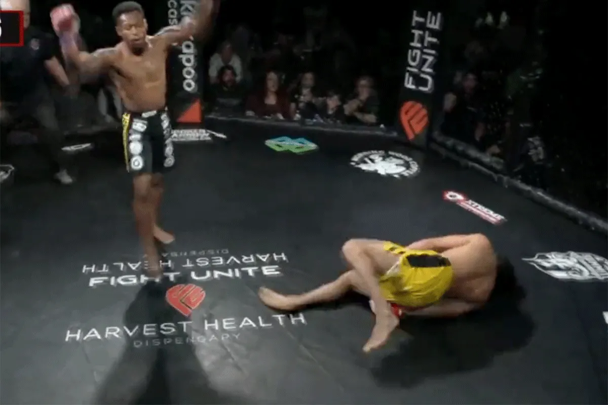 Kooivechter staat op uit de dood in bizarre knokpartij