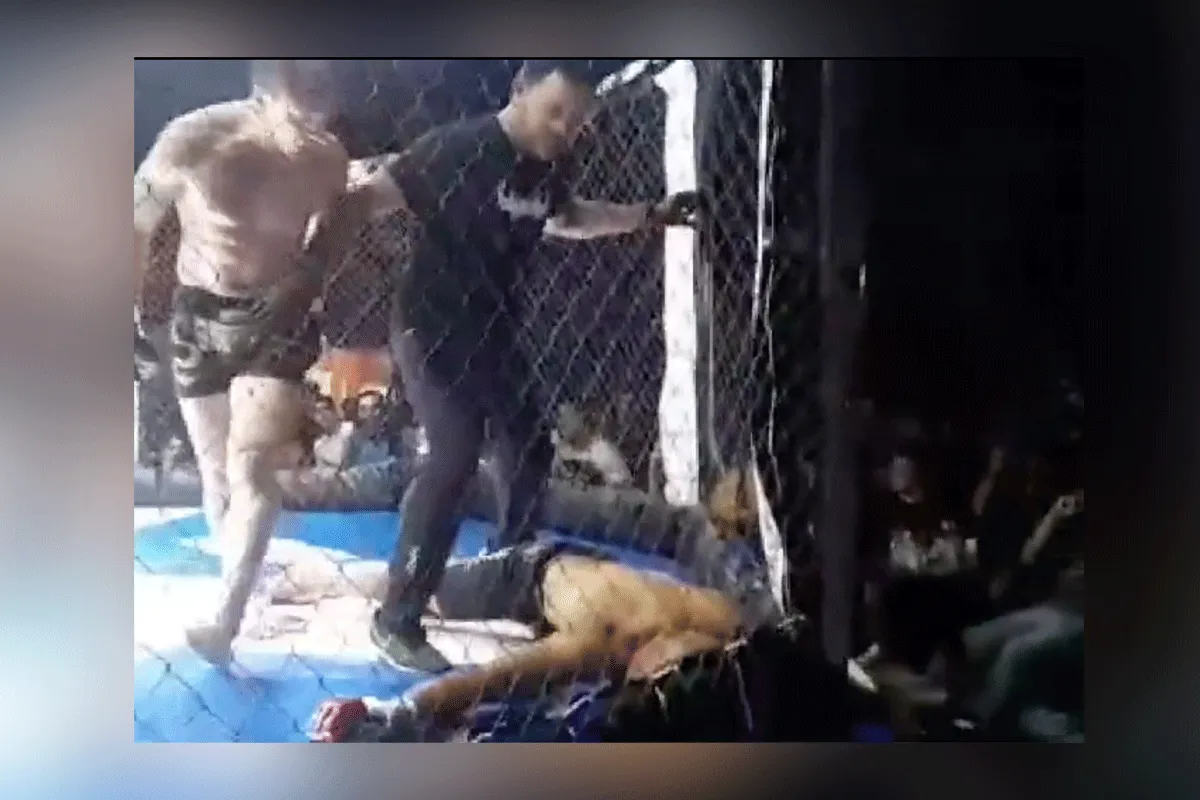 'KO Gemist!' Knokkers rammen er slordig op los (video)