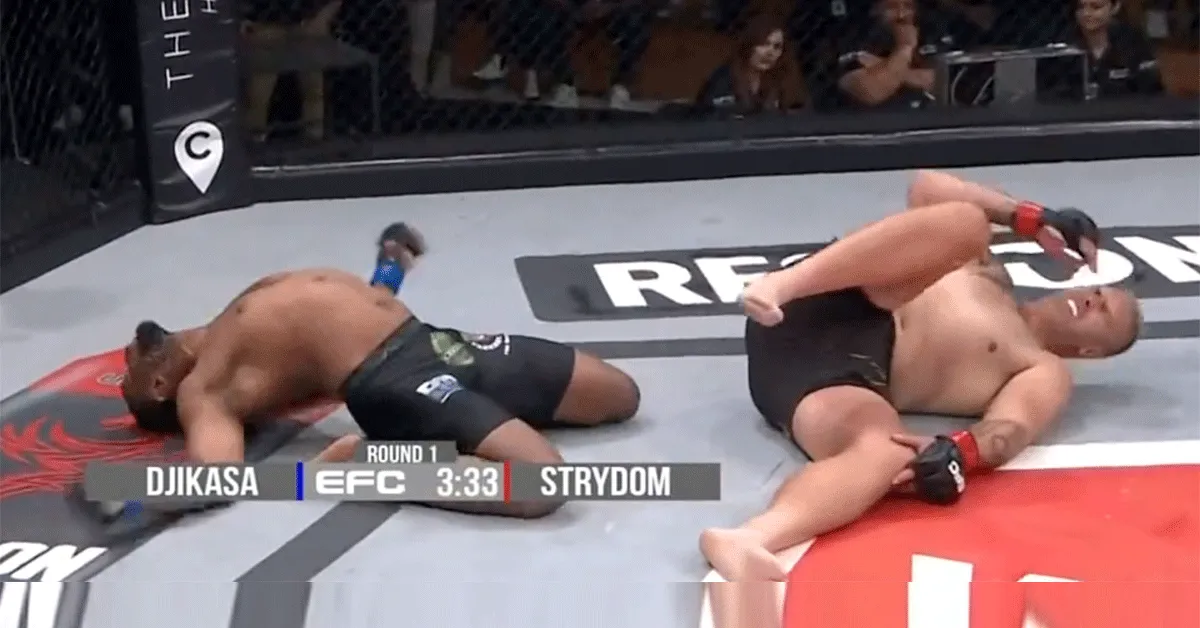 Kooivechter door fataal trucje uitgeschakeld! 'Pijnlijk' (video)