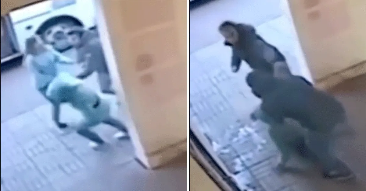 Vrouwenmepper krijgt pak slaag! '3, 2, 1 Karma' (video)