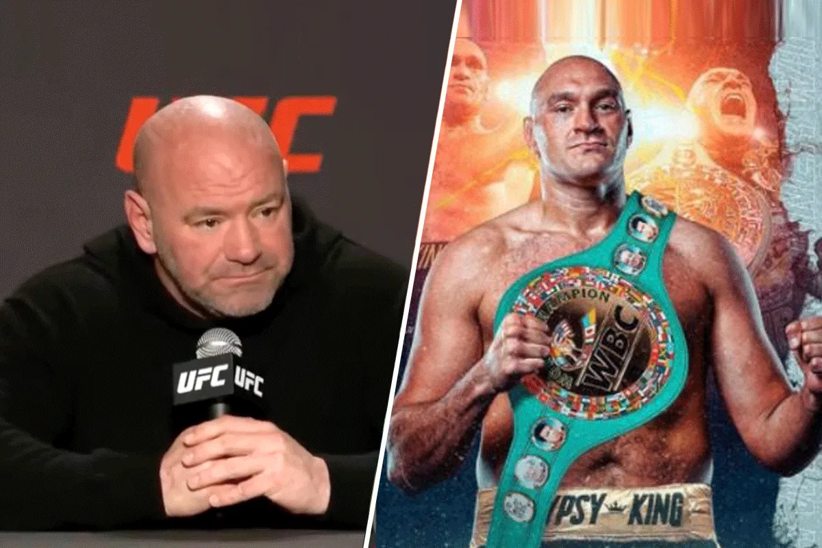 'Boksen sterft uit zonder UFC-vechters!' Vechtbaas White zeker van zaak