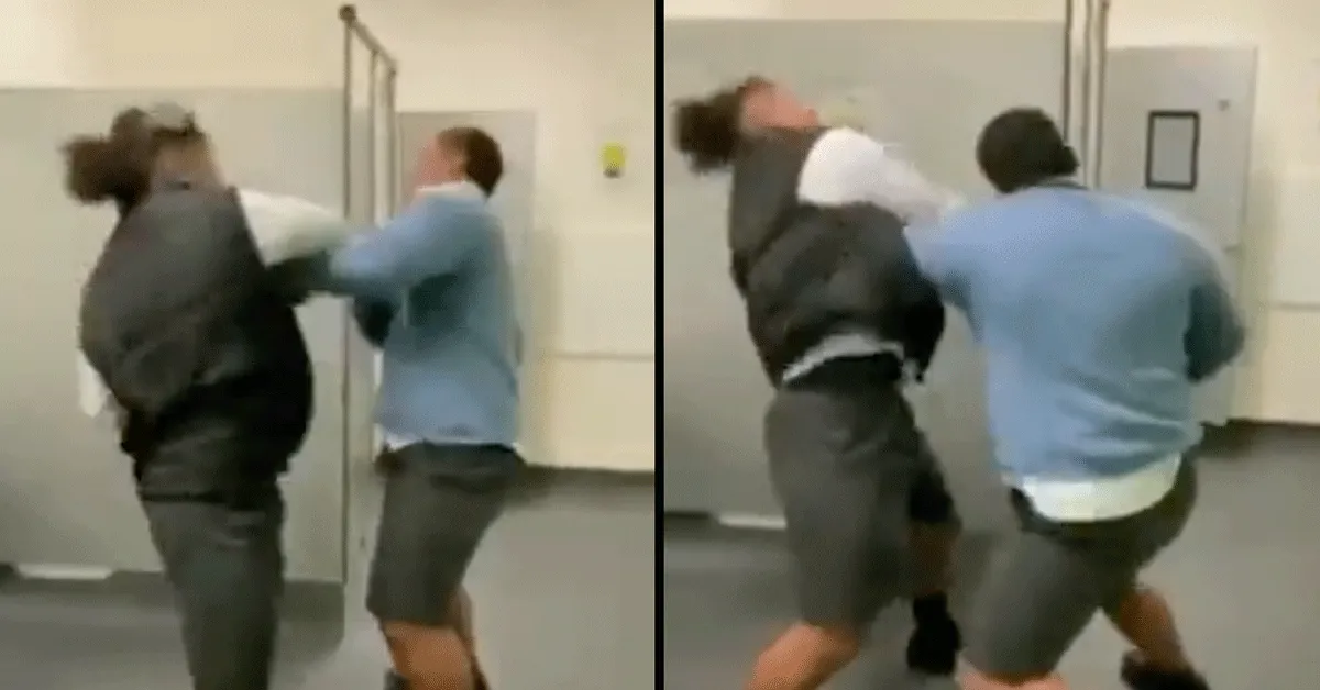 'Schijt aan alles!' Boksen in WC is fun voor twee (video)