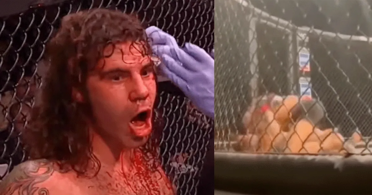 UFC-veteraan 'WURGT' stoere vechtbaas: 'Wil iedereen toch' (video)