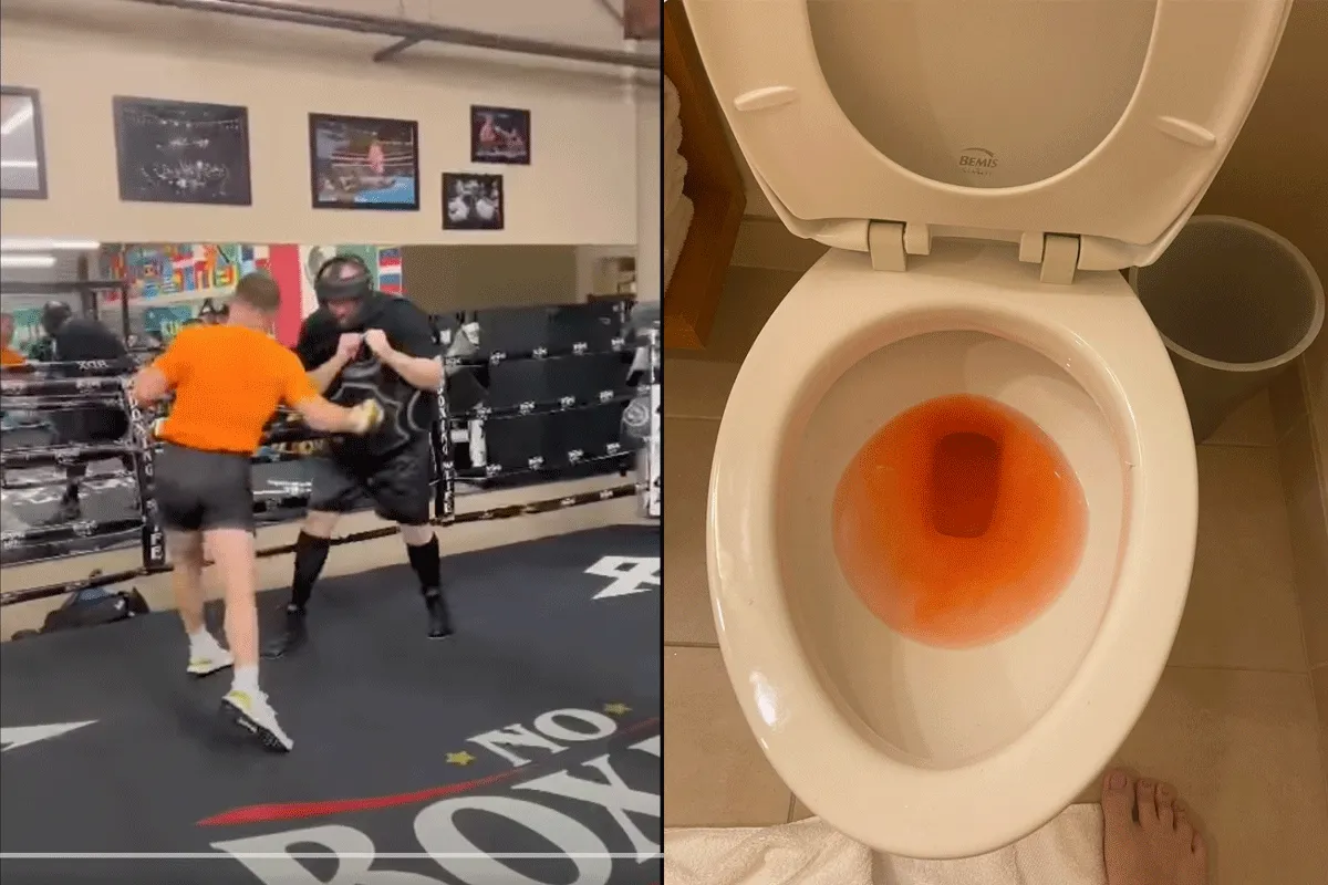 'Ik pis bloed!' Boksicoon Canelo geeft Blogger pak slaag (video)