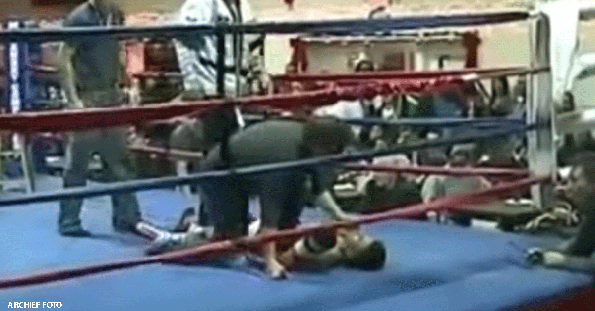 Kickbokser (23) dood na knockout tijdens wedstrijd! 'We zijn gebroken'